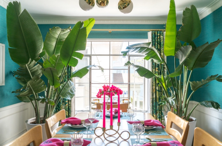 best large indoor plants