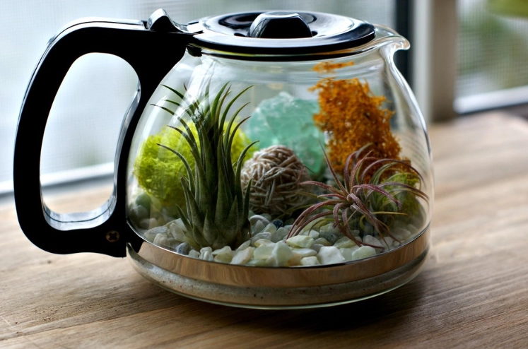 terrarium design