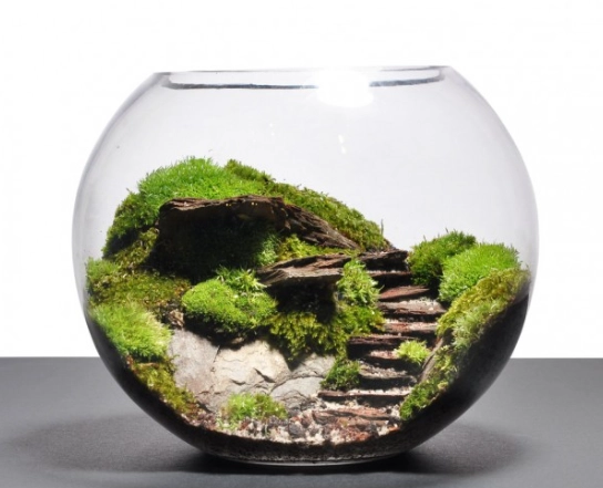 terrarium design