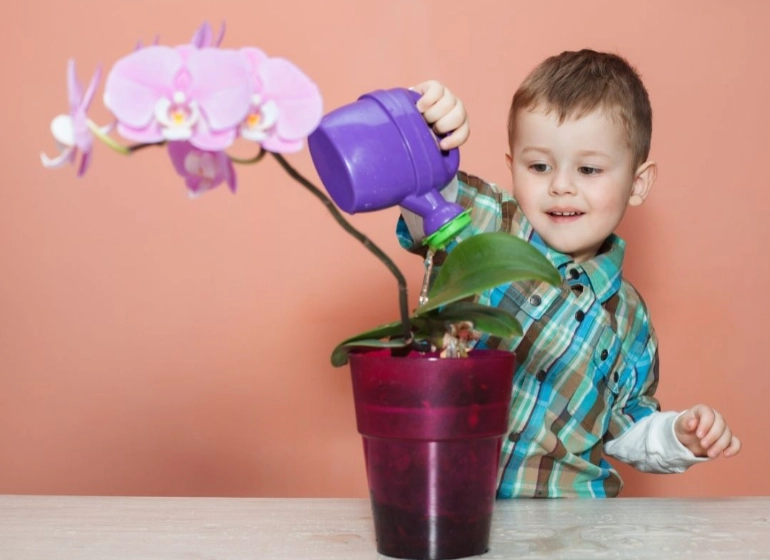 how often to water orchids