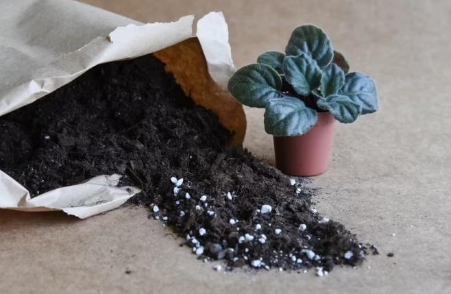 how to choose potting mix