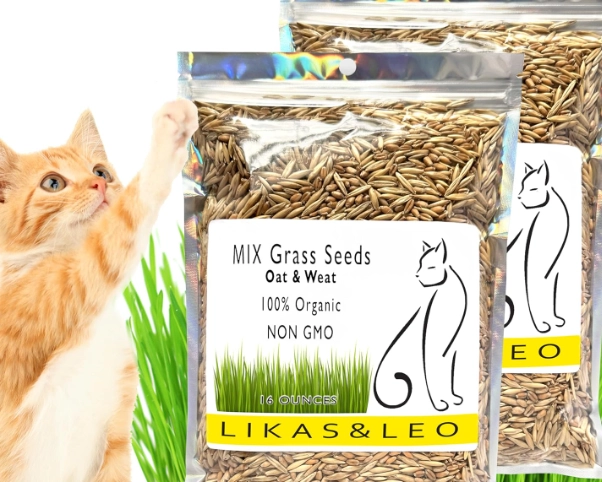 cat grass benefits