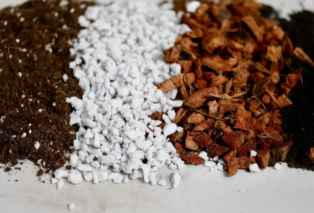 indoor plant soil mix