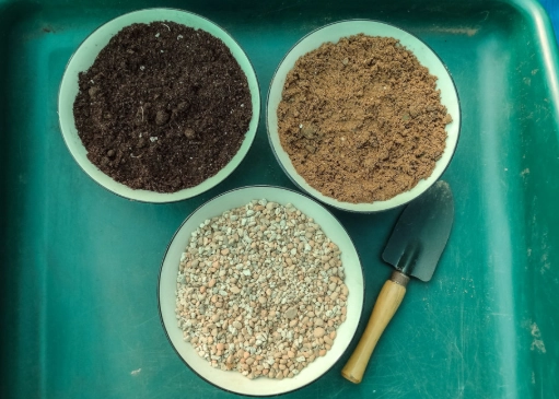 cactus soil mix