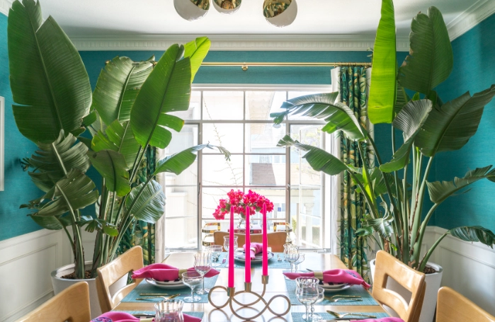 best large houseplants