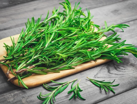 rosemary benefits