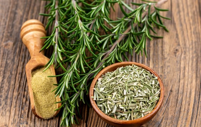 rosemary benefits