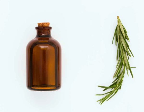 rosemary benefits