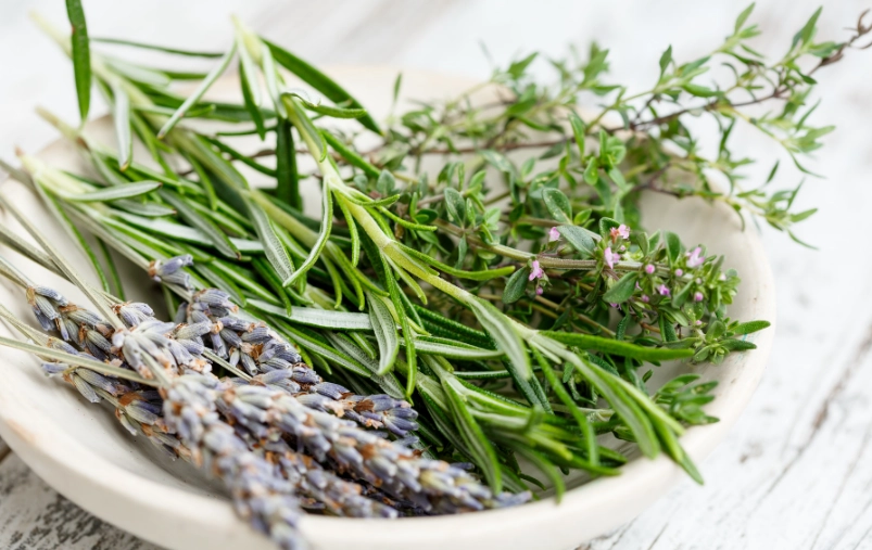 rosemary benefits