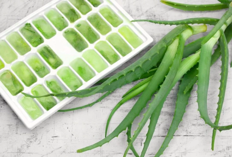 aloe vera gel storage