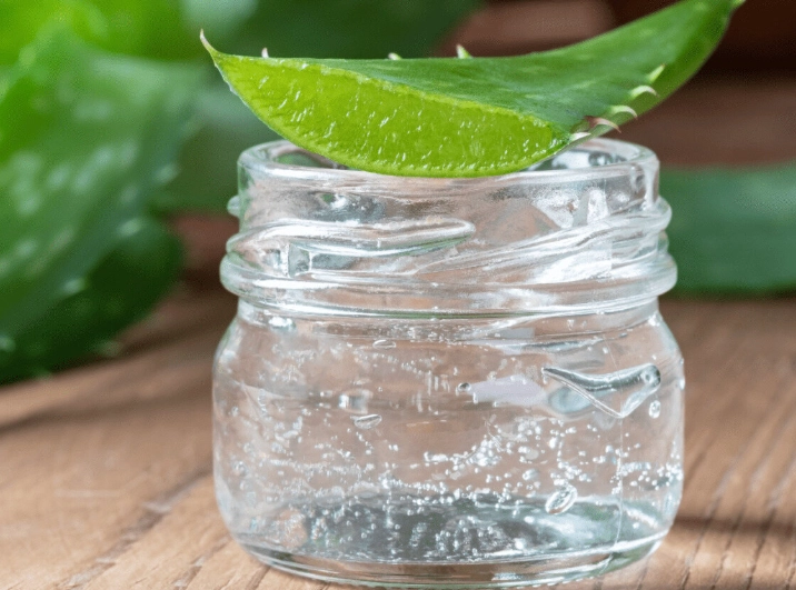 aloe vera gel storage