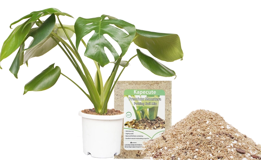 monstera soil mix recipe