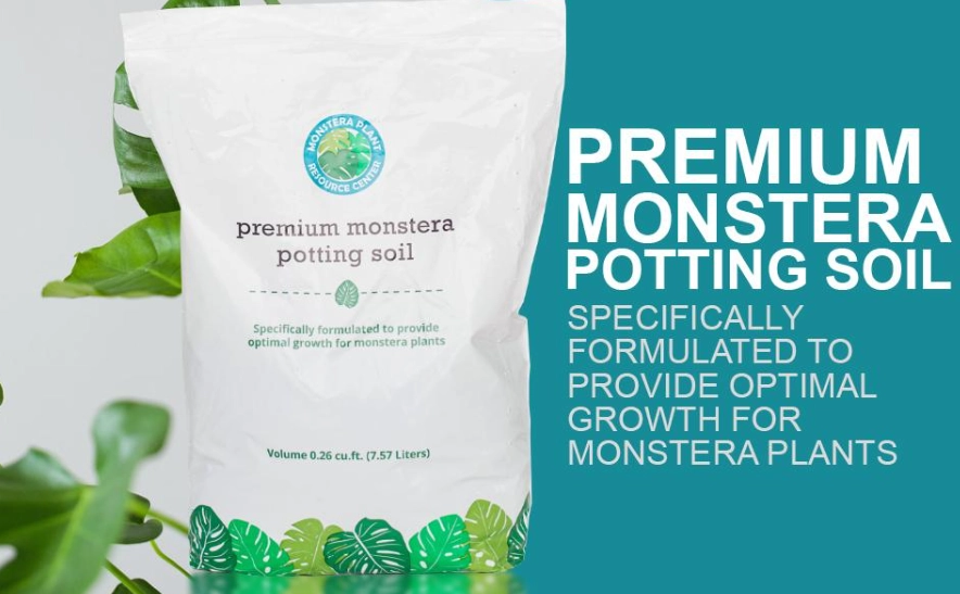 best soil for monstera