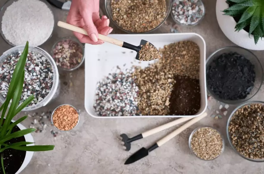 monstera soil mix recipe