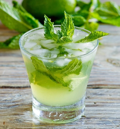 best mint for mojitos