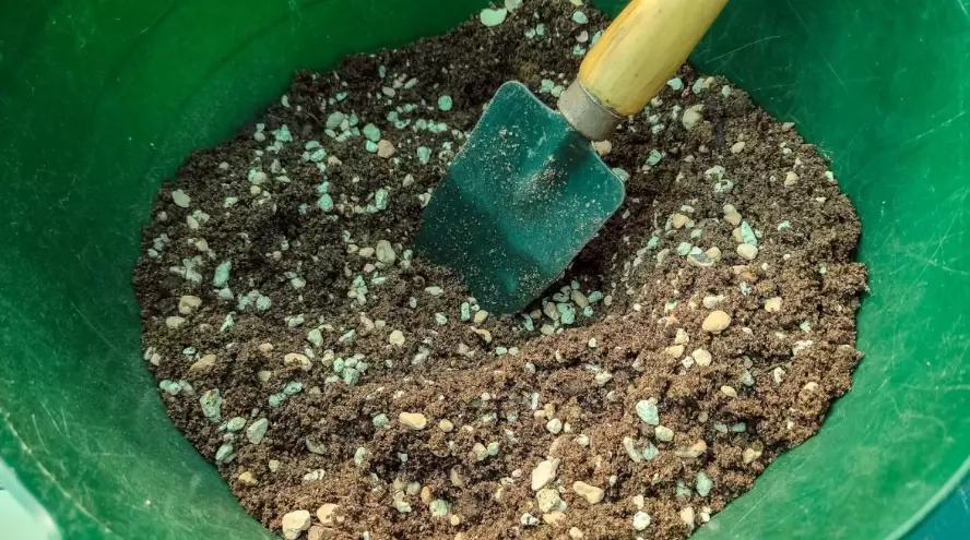 cactus soil mix