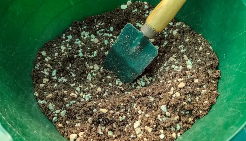 cactus potting mix recipe
