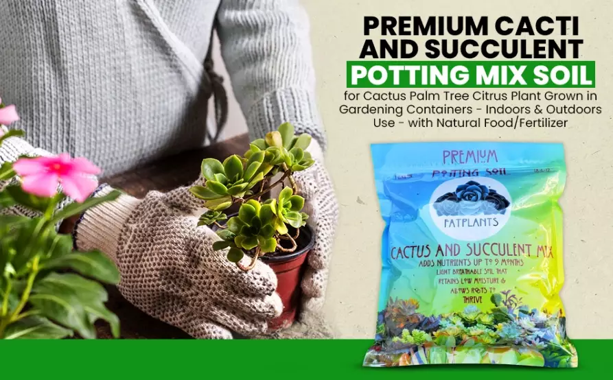 cactus soil mix