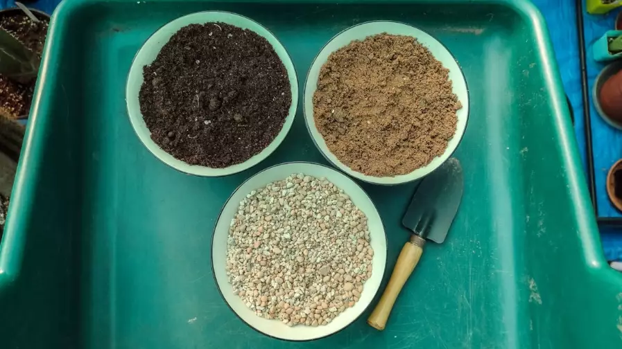 best soil for cactus