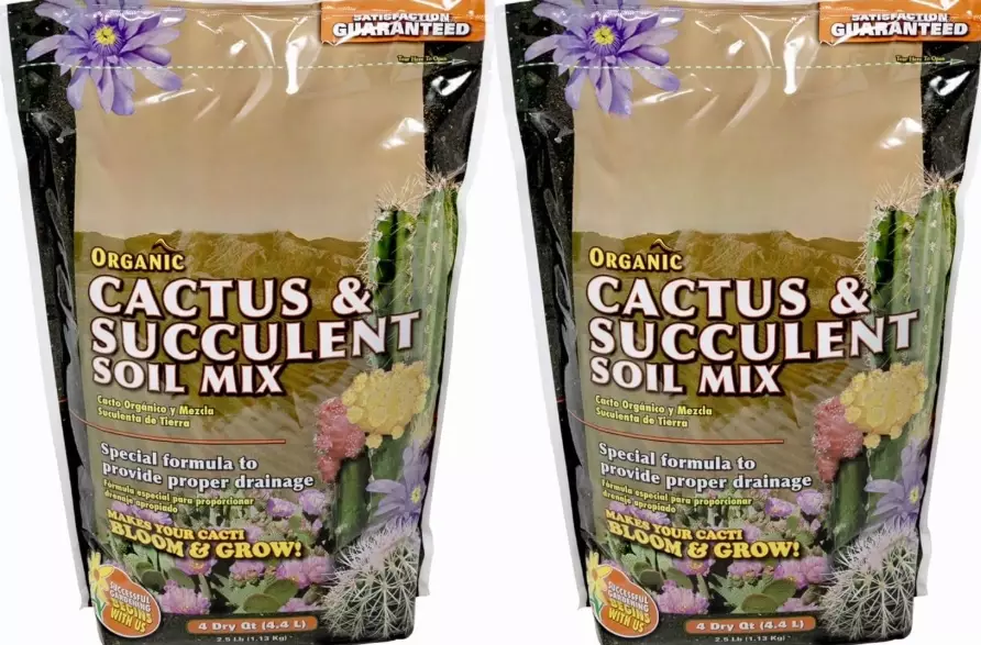 cactus soil mix