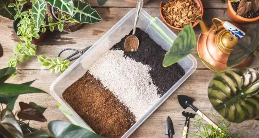 best soil for houseplants