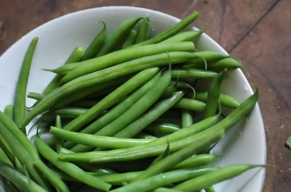 string of beans care