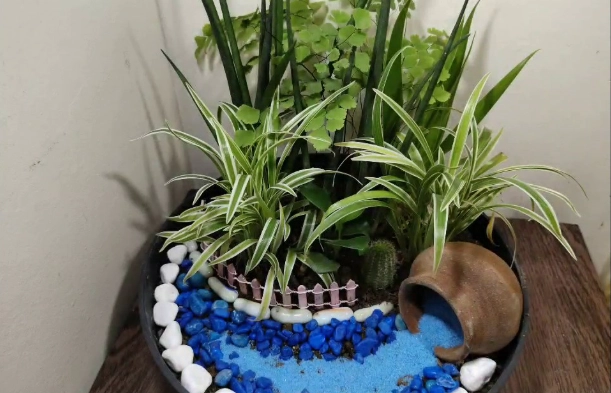 how to make a dish garden how to make a dish garden