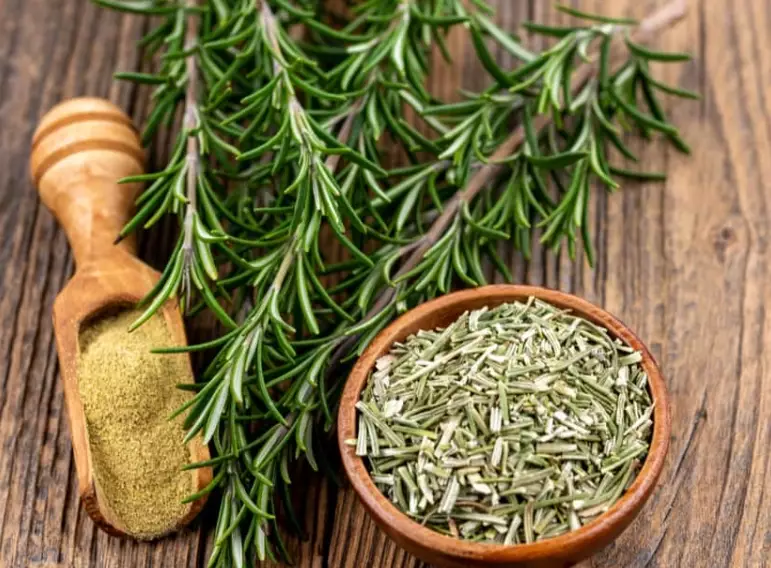 rosemary benefits