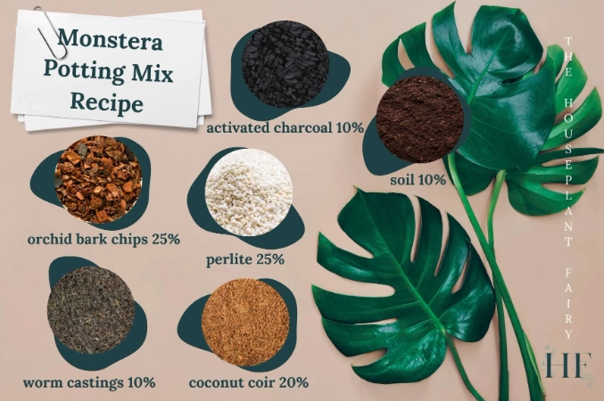 monstera soil mix