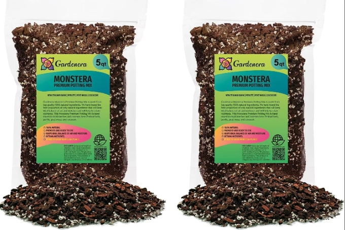 monstera soil mix monstera soil mix
