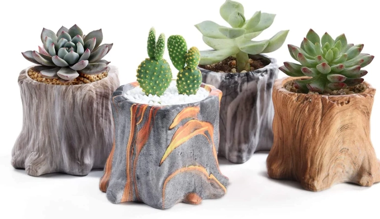 how to choose a cactus pot
