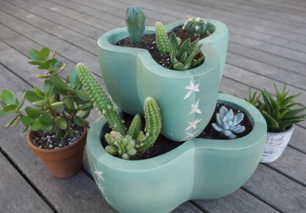 best pots for cactus