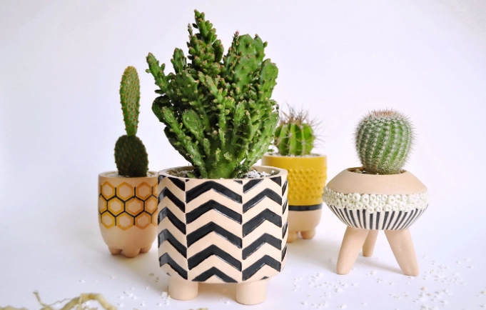 best pots for cactus