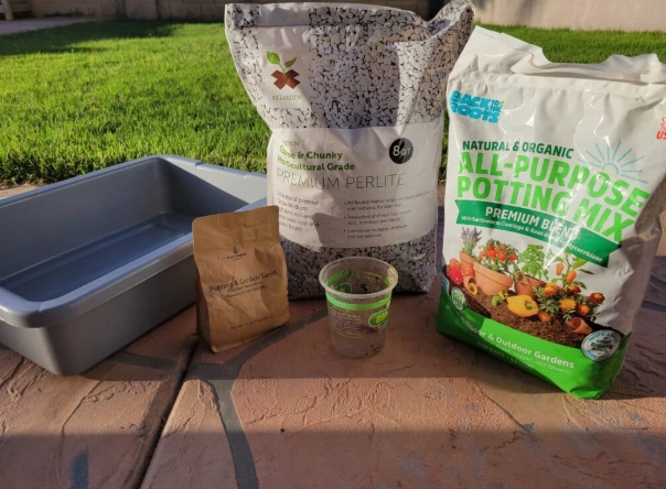 how to make succulent soil