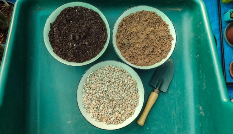 best soil for succulents