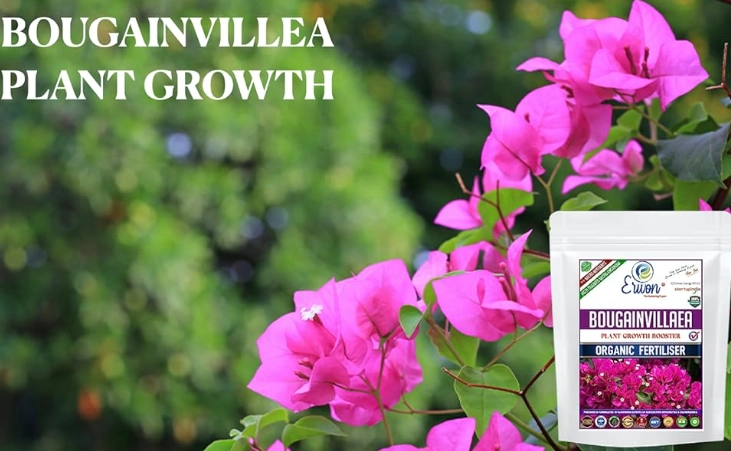 best fertilizer for bougainvillea