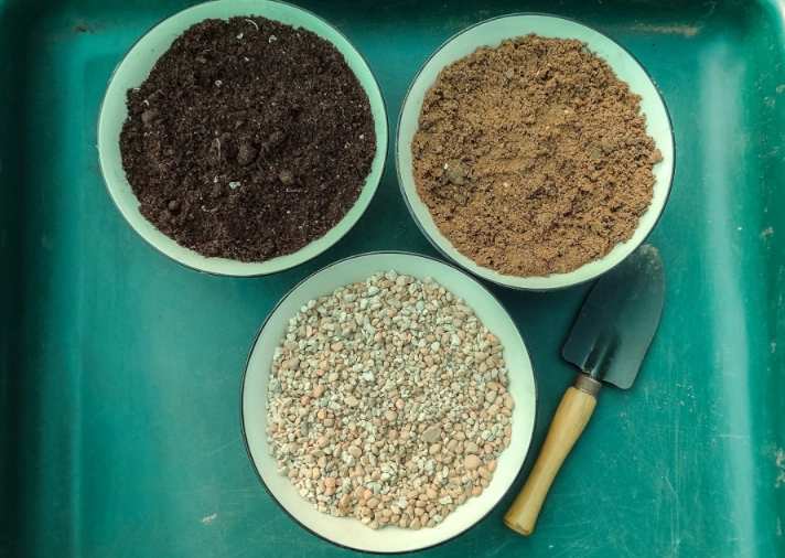 succulent soil mix recipe