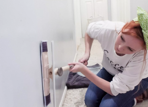 houseplant leaf care houseplant leaf care