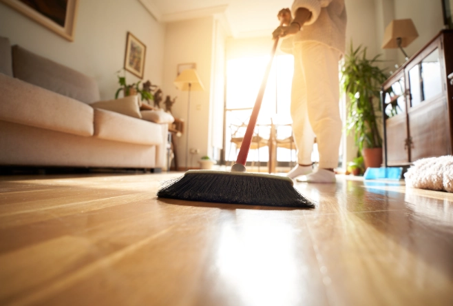 how to clean indoor plant leaves