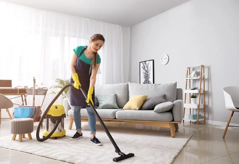 clean indoor plant leaves clean indoor plant leaves